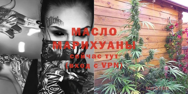 индика Бородино